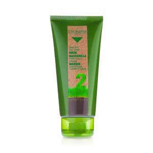 Маска для жирной кожи головы Mascarilla antigrasa Salerm Cosmetics, 200 мл 